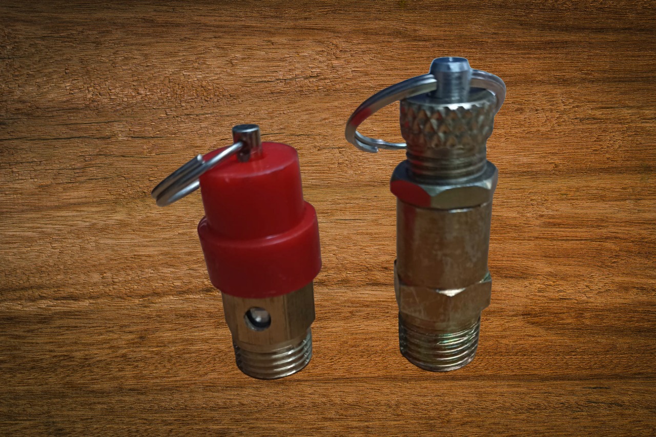 Válvula de seguridad para sistemas de presión